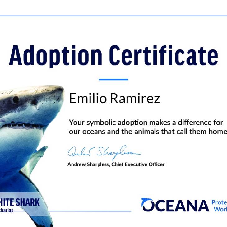 Certification of Adoption